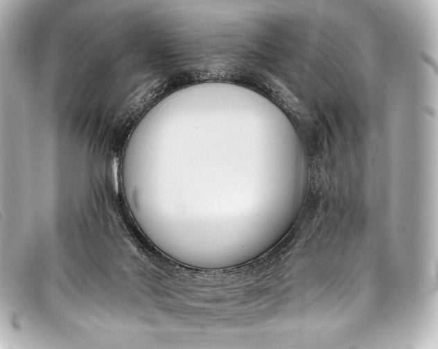 X0000098110022200804181504