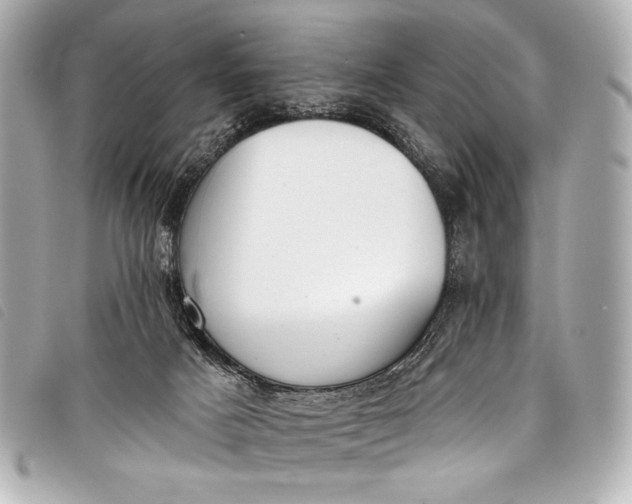 X0000098110025200804181504