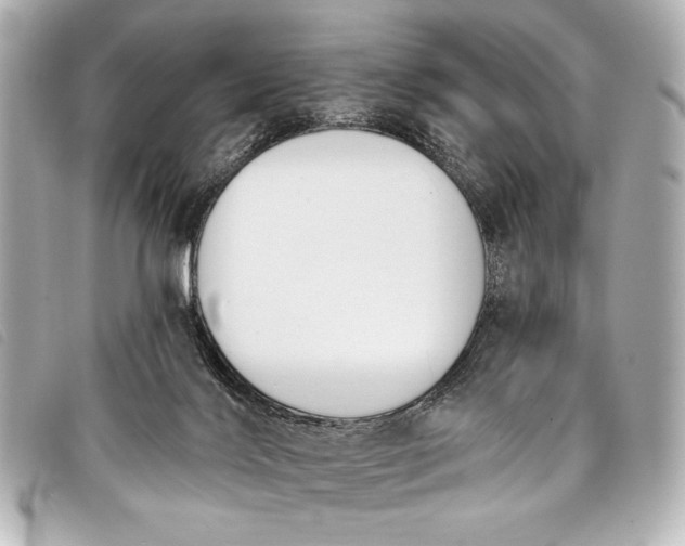 X0000098110028200804181504