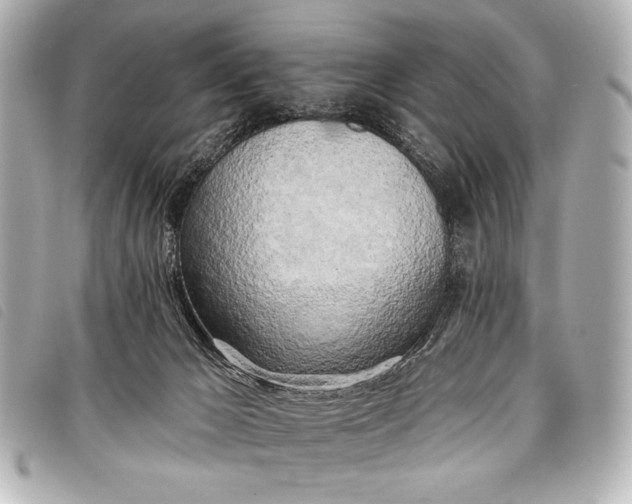 X0000098110029200804181504