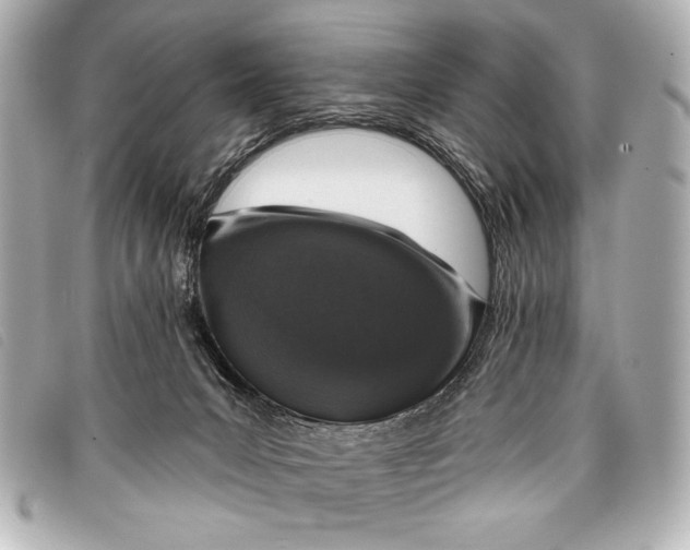 X0000098110031200804181504