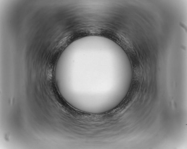 X0000098110032200804181504