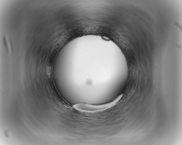 X0000098110033200804181504