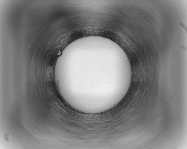 X0000098110034200804181504