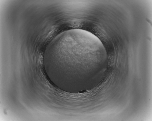 X0000098110035200804181504