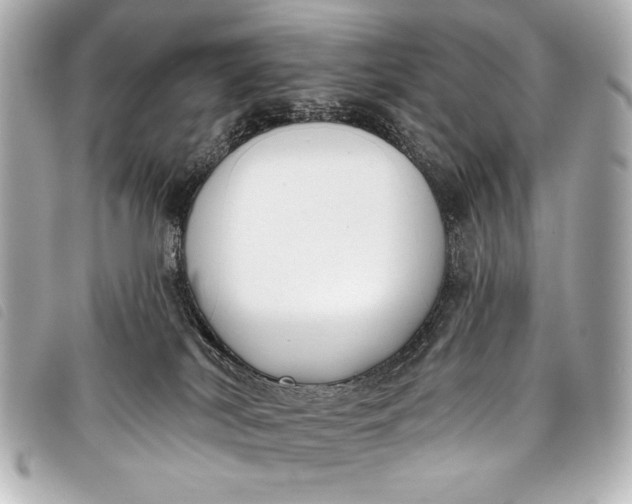 X0000098110038200804181504