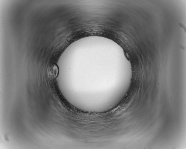 X0000098110040200804181504