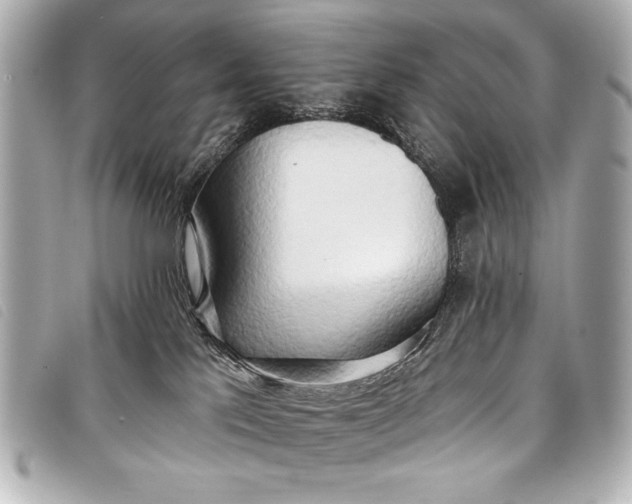 X0000098110041200804181504