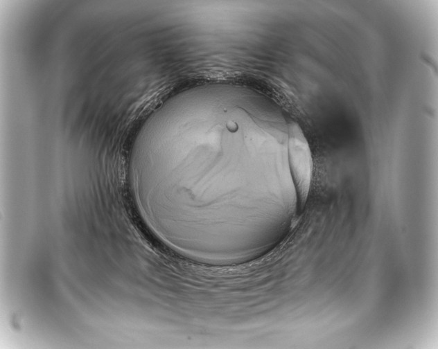 X0000098110043200804181504