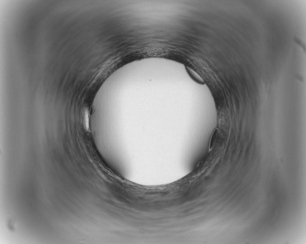 X0000098110046200804181504