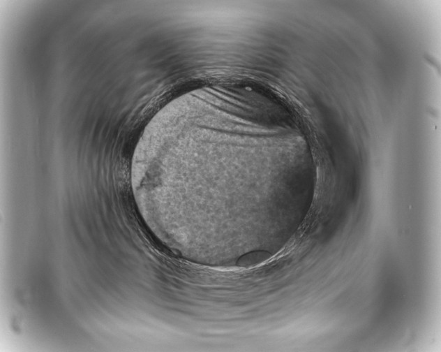 X0000098110048200804181504