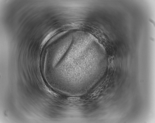 X0000098110051200804181503