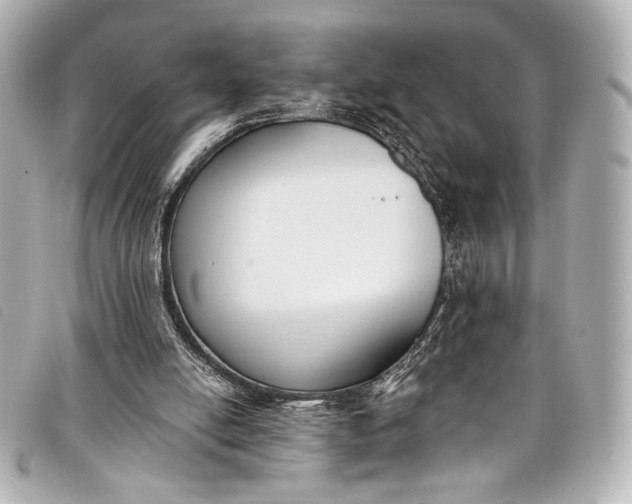 X0000098110054200804181503