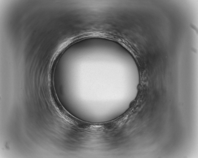 X0000098110055200804181503