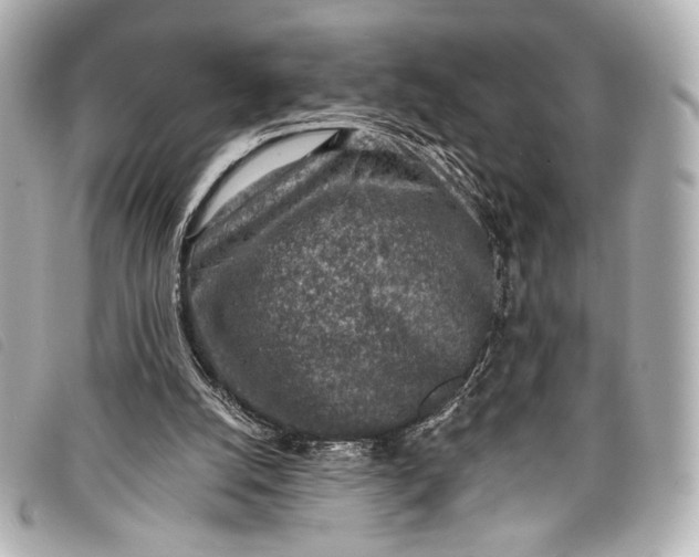 X0000098110056200804181503