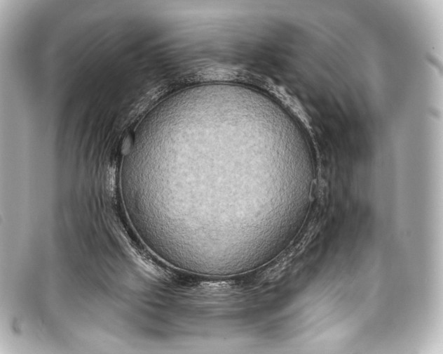 X0000098110057200804181503