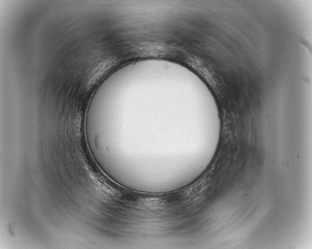 X0000098110058200804181503