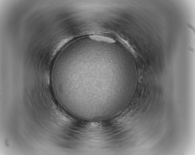 X0000098110060200804181503