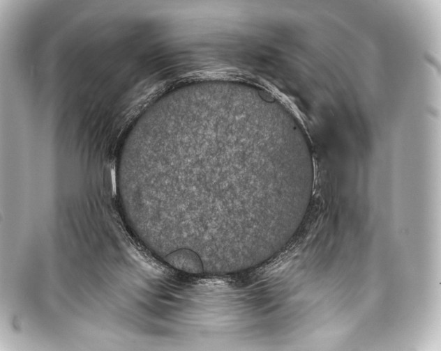 X0000098110061200804181503