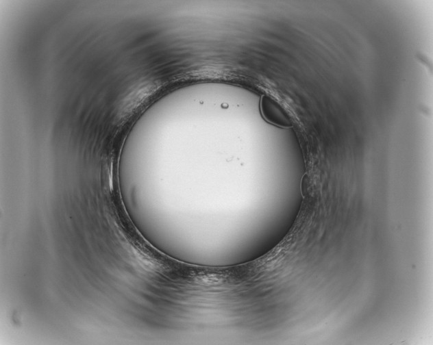 X0000098110062200804181503