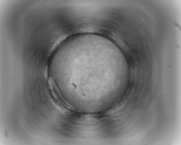 X0000098110064200804181503