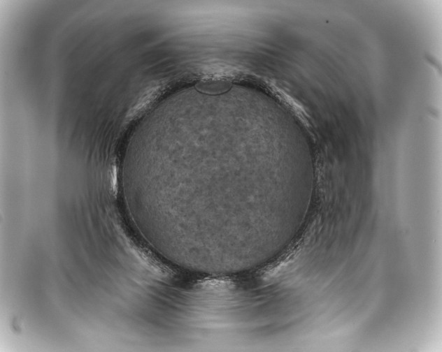 X0000098110067200804181503