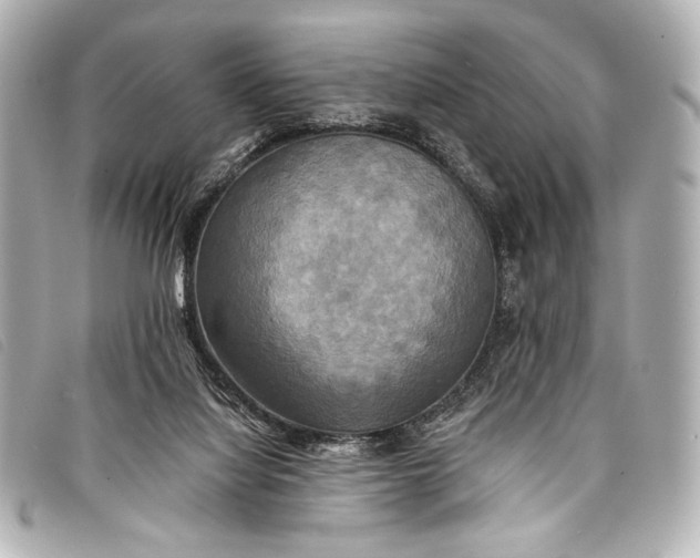 X0000098110068200804181503