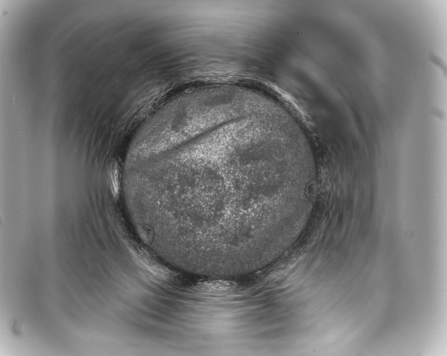 X0000098110069200804181503