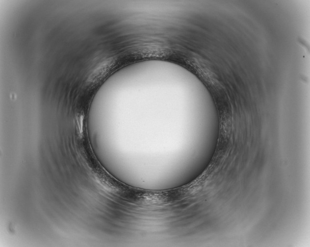 X0000098110070200804181503