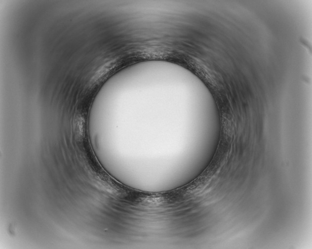 X0000098110071200804181503