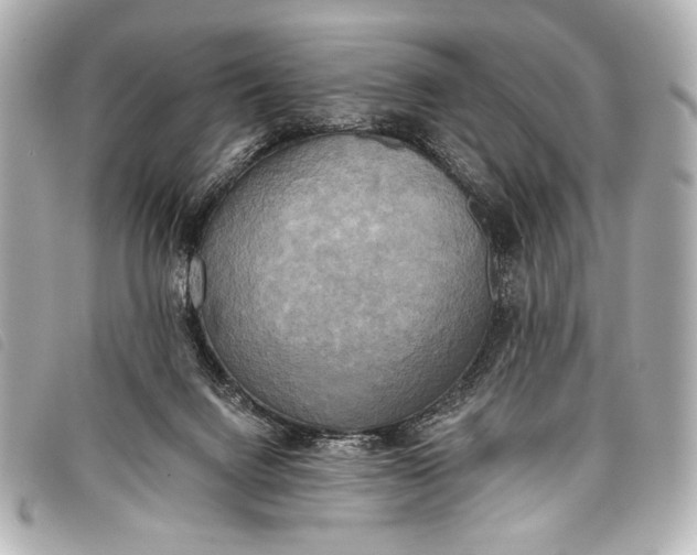 X0000098110072200804181503