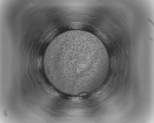 X0000098110073200804181503