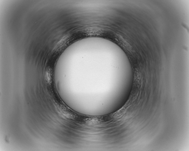 X0000098110074200804181503