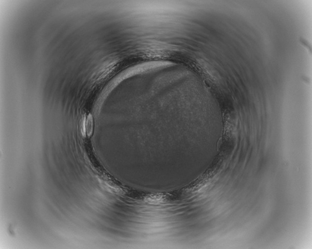 X0000098110076200804181503