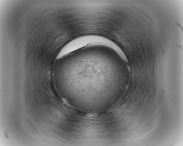 X0000098110080200804181503