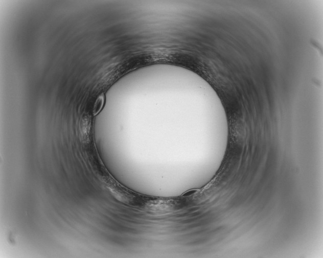 X0000098110082200804181503