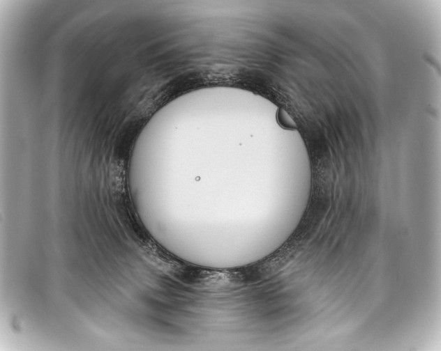 X0000098110083200804181503