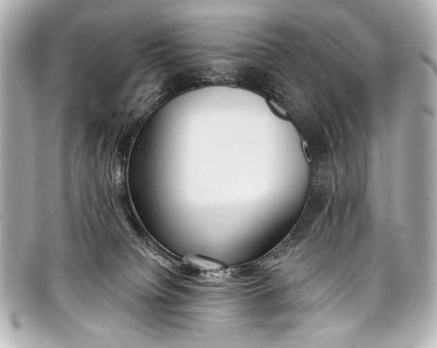 X0000098110084200804181503