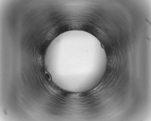 X0000098110086200804181503