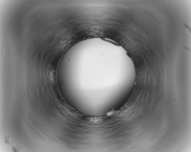 X0000098110088200804181503