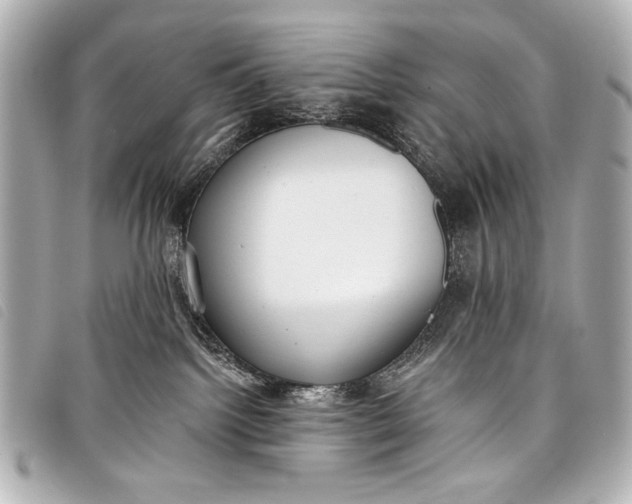 X0000098110092200804181503