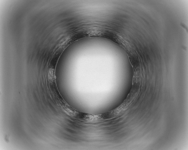 X0000098110093200804181503