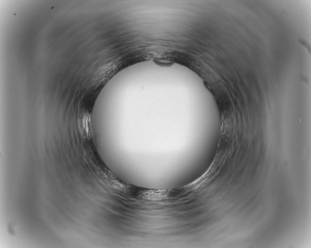 X0000098110094200804181503