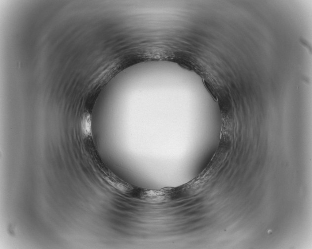 X0000098110095200804181503