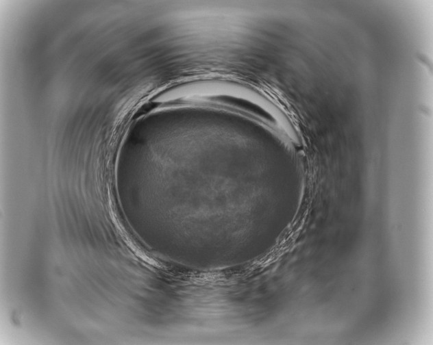 X0000098110097200804181503