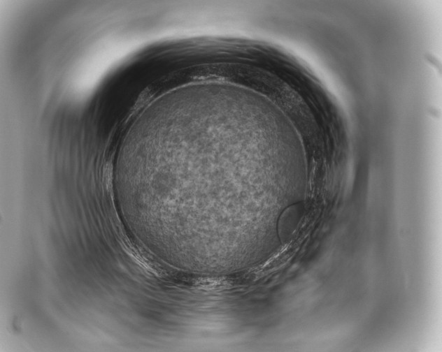 X0000098110099200804181503