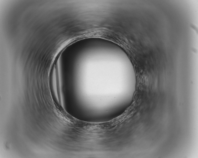 X0000098110100200804181503