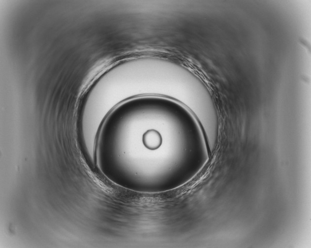 X0000098110101200804181503