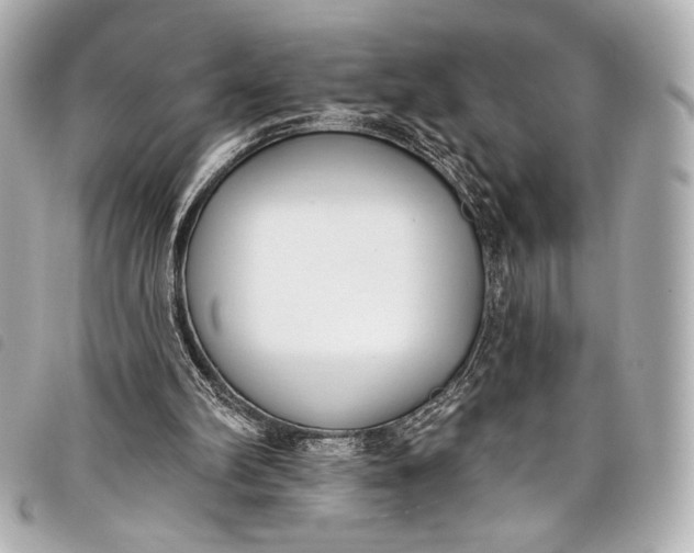 X0000098110102200804181503