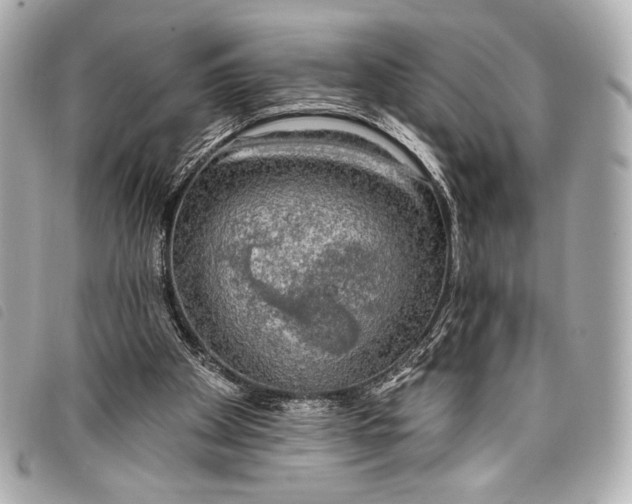 X0000098110105200804181503